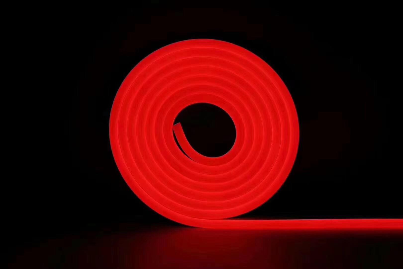 led-day-flex-neon-sign-12v-24v-220v-mau-do